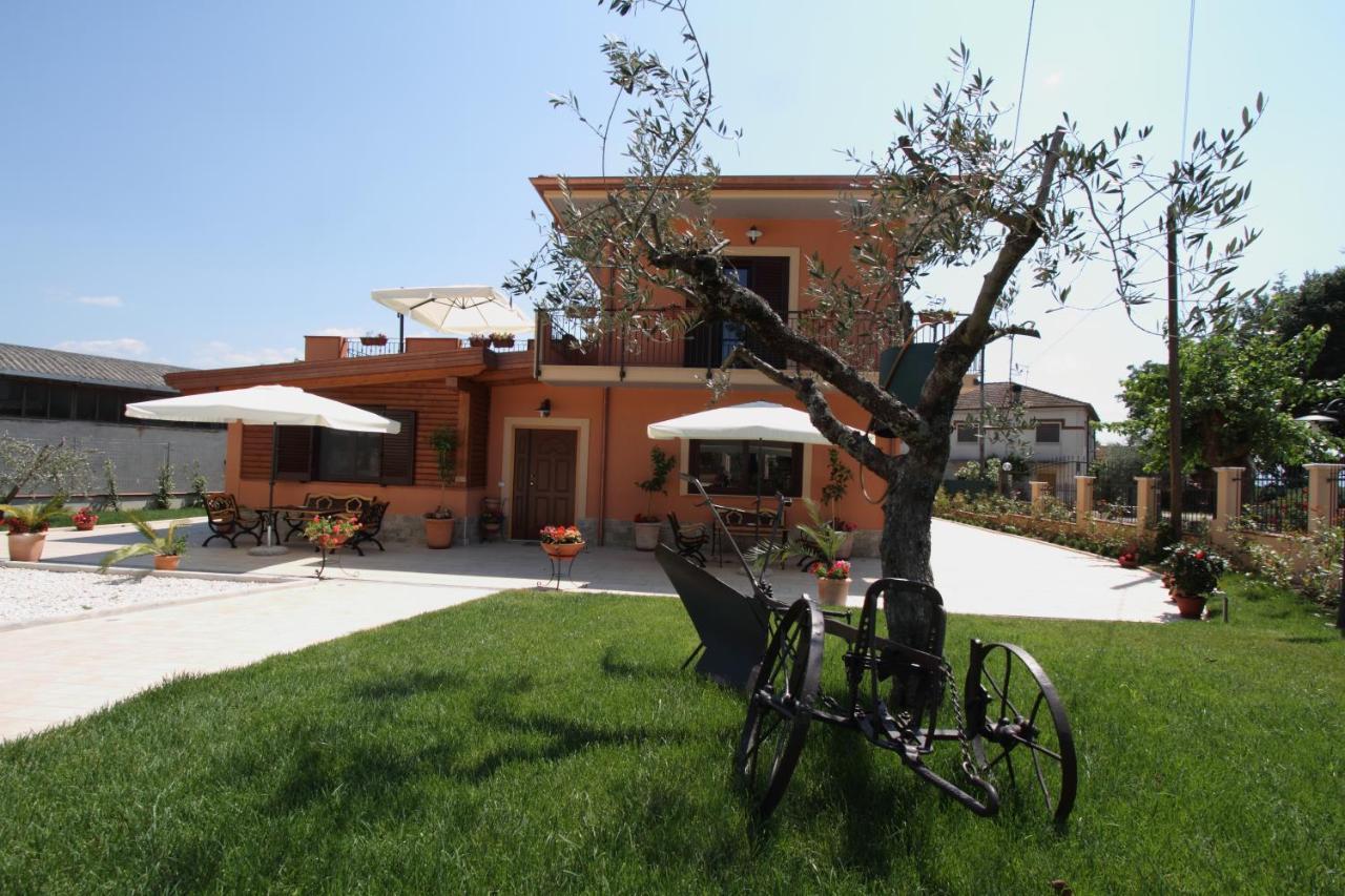 Azienda Agrituristica La Tenuta Del Falco Piedimonte San Germano Buitenkant foto