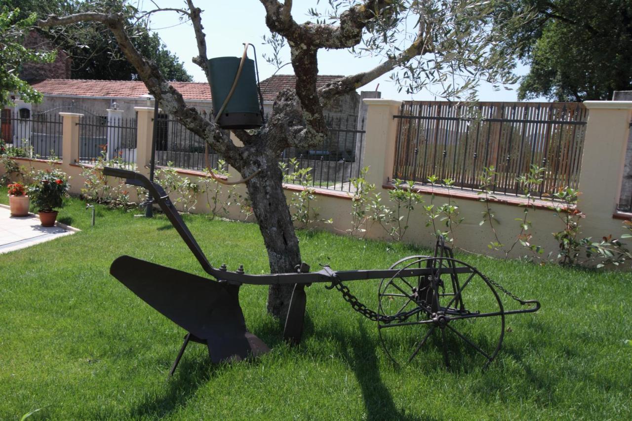 Azienda Agrituristica La Tenuta Del Falco Piedimonte San Germano Buitenkant foto